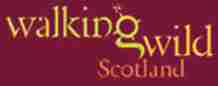 walking wild scotland - abriachan nurseries